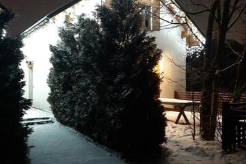 Photo 43