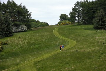 Hiking