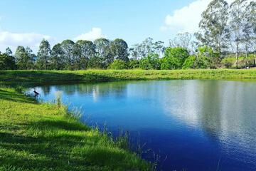Photo 41