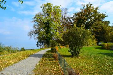 Photo 28
