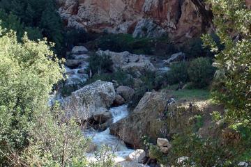 Photo 49