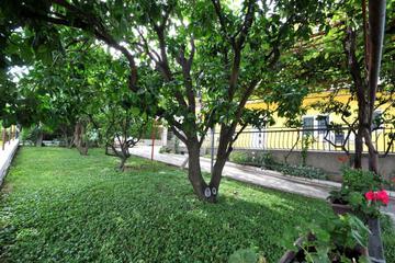 Photo 39