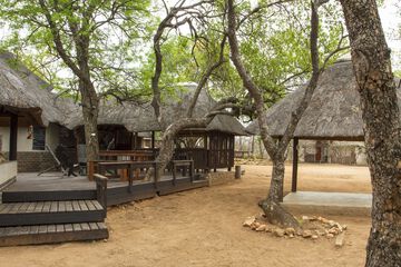Terrace or Patio