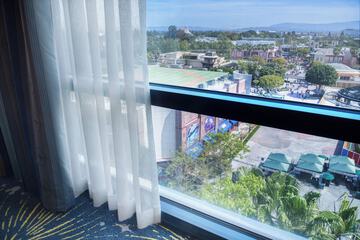 View from room