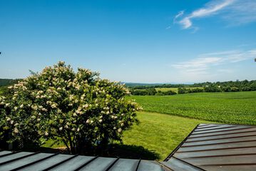 Property Grounds 36 of 36