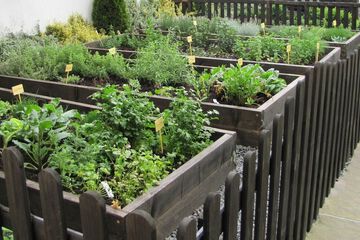 Garden view