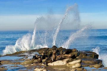 DAYS INN AND SUITES SEAWORLD AIRPORT 19