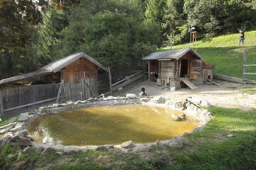 Photo 26