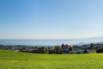 Lake view