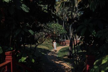 Garden view