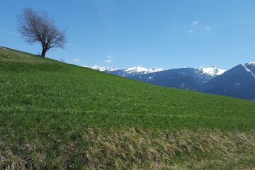 Hiking