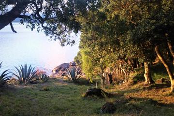 Photo 32