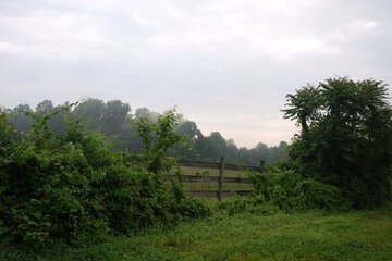 Hiking