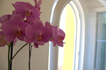 Photo 52