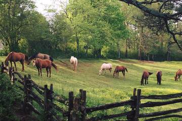 Property Grounds 56 of 61