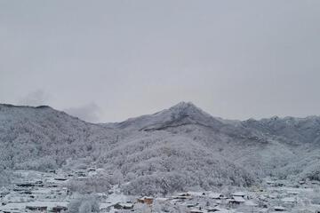 Photo 24