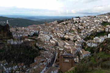 Photo 44
