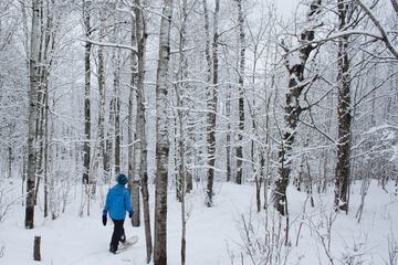 Snowshoeing