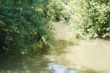 Photo 38