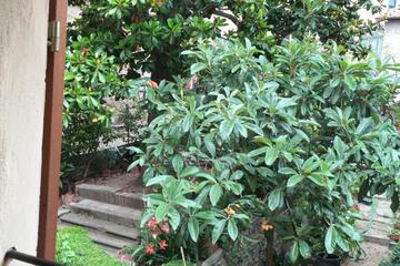 Photo 36