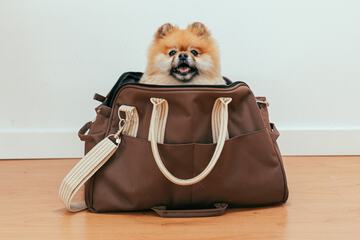 Children's activities