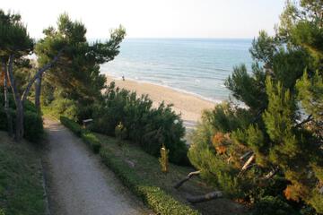 Photo 35