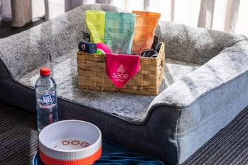 Pet-friendly amenities