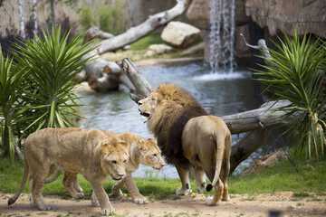 Point of interest