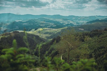 Hiking