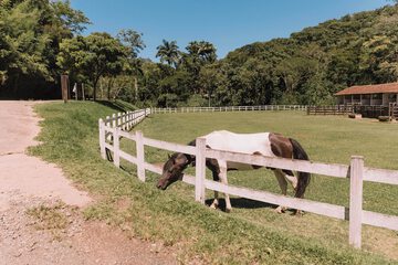 Horseback riding