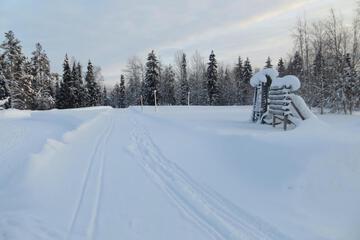 Photo 24