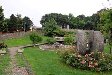 Park view