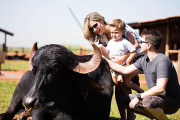 Children's activities