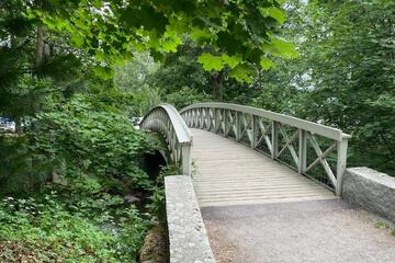 Photo 24