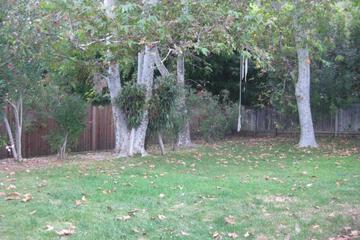 Photo 31