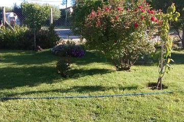 Photo 34