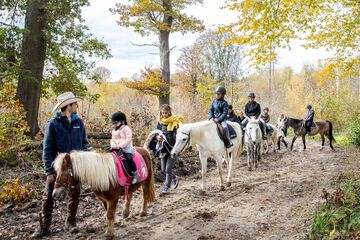 Horseback riding