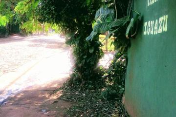Photo 43