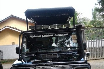 Safari