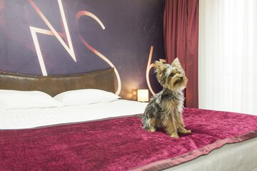 Pet-friendly