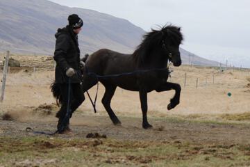 Horseback riding