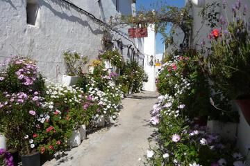 Photo 24
