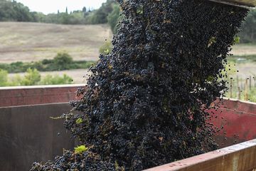 Winery