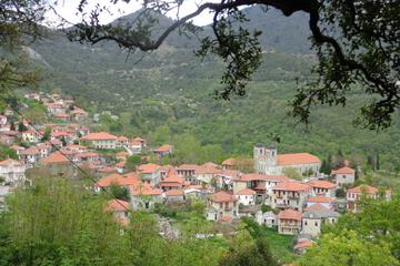 Photo 29