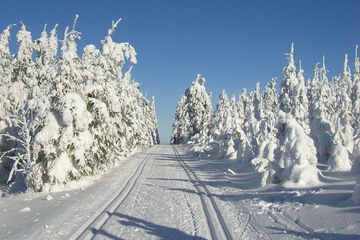 Snowshoeing