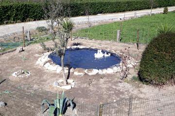 Photo 51