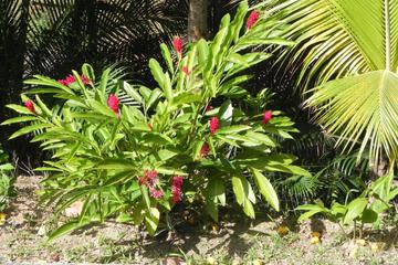 Photo 31