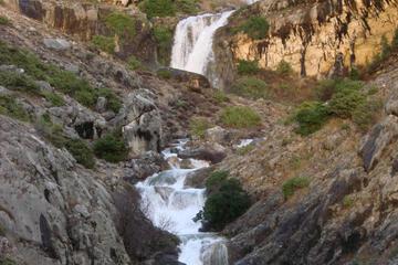 Photo 44