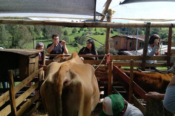 Ecotours