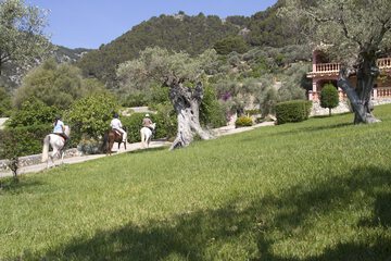 Horseback riding